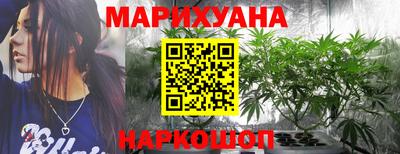 мяу мяу мука Краснознаменск