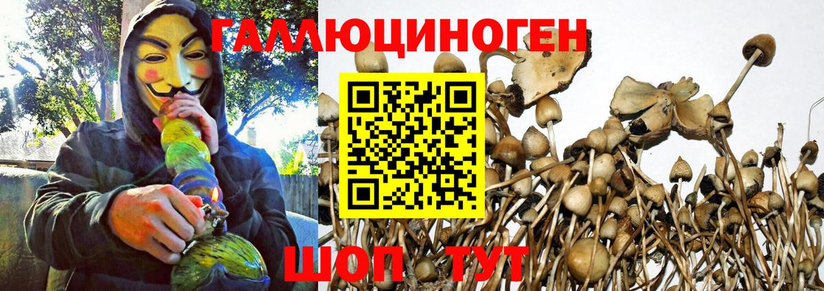Кирово-Чепецк  Галлюциногенные грибы мухоморы  Вход с VPN  Галлюциногенные грибы ЛСД 